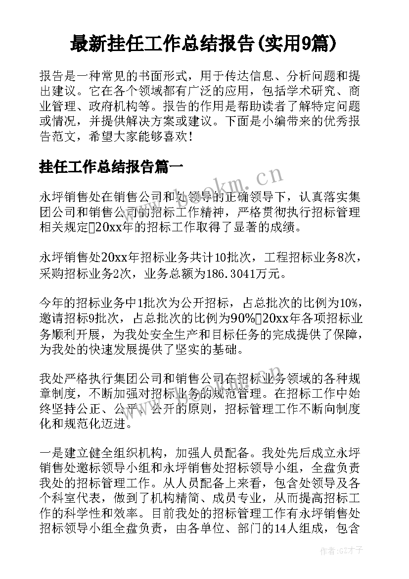 最新挂任工作总结报告(实用9篇)