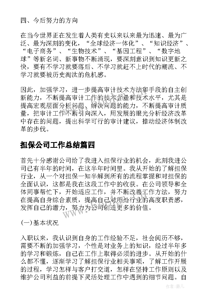 担保公司工作总结(优秀9篇)