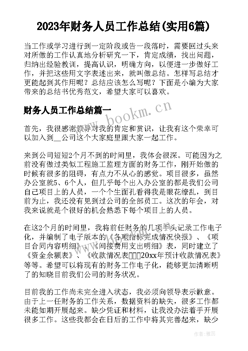 2023年财务人员工作总结(实用6篇)