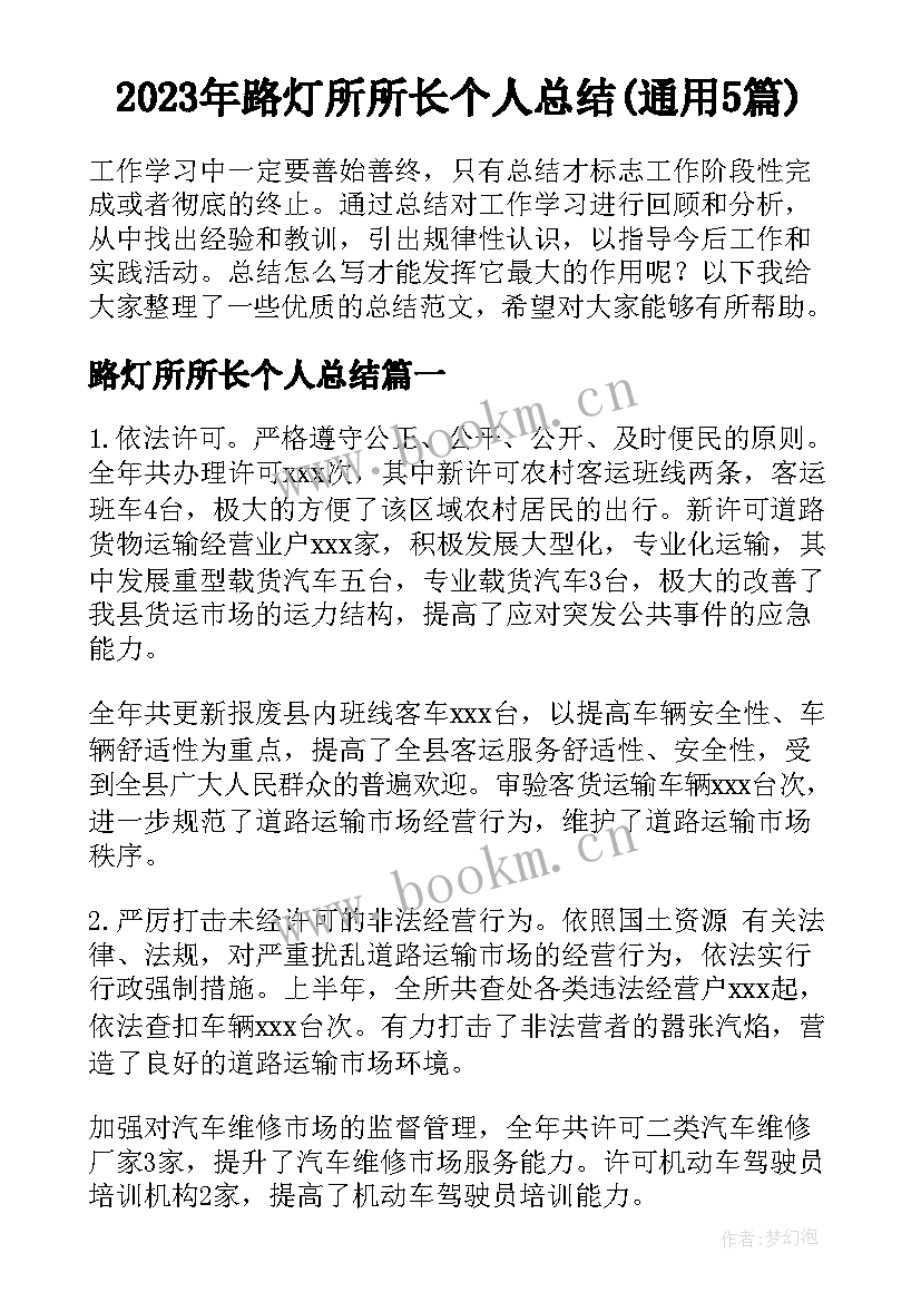 2023年路灯所所长个人总结(通用5篇)