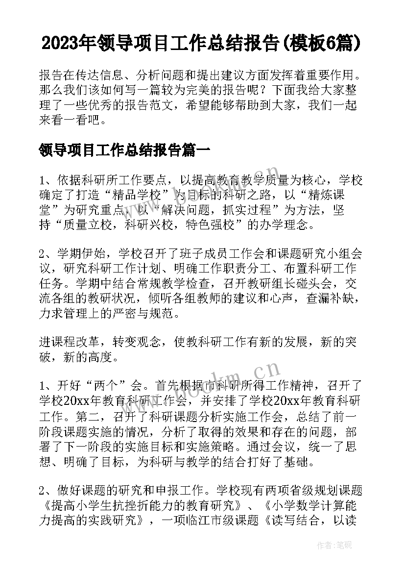 2023年领导项目工作总结报告(模板6篇)