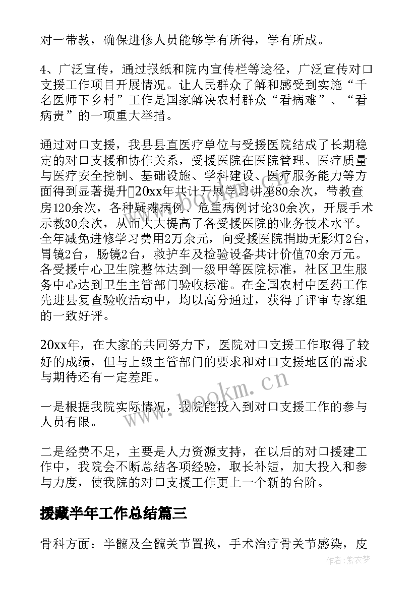 2023年援藏半年工作总结(优质5篇)