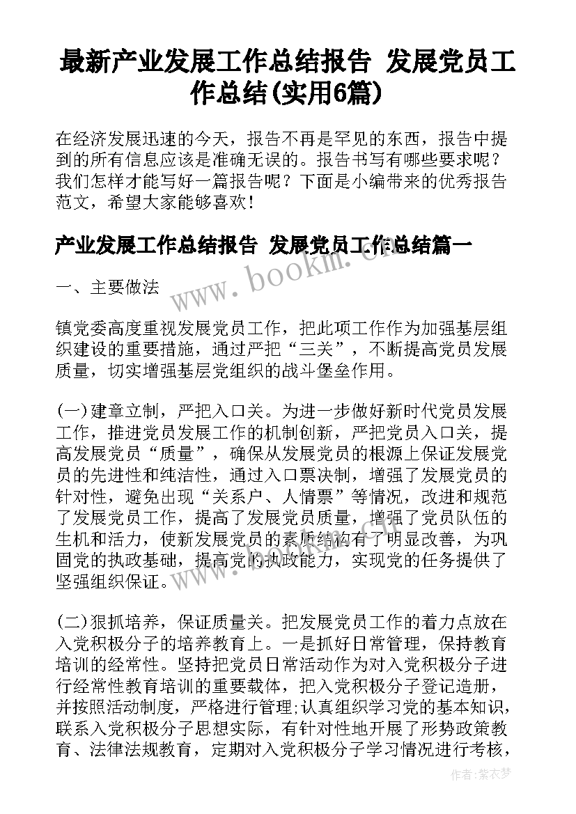 最新产业发展工作总结报告 发展党员工作总结(实用6篇)