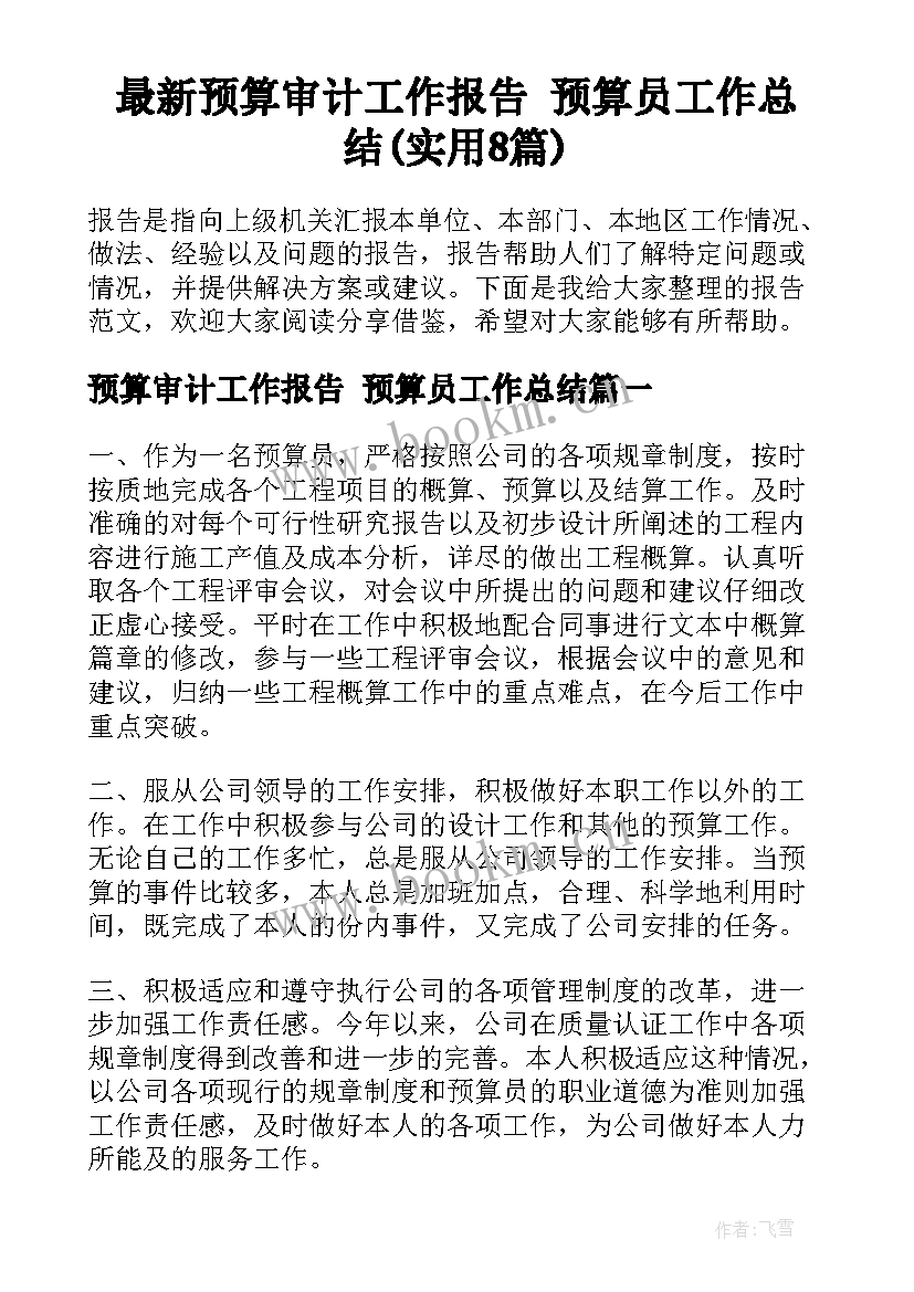 最新预算审计工作报告 预算员工作总结(实用8篇)