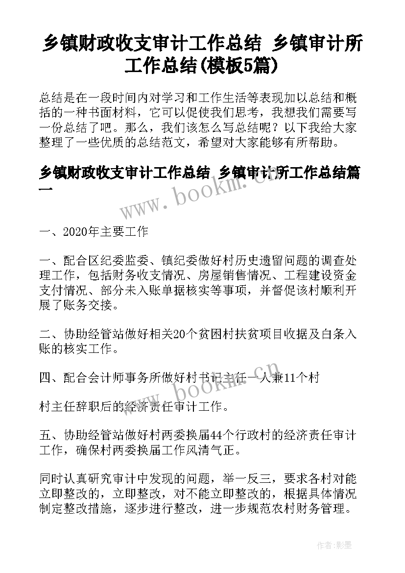 乡镇财政收支审计工作总结 乡镇审计所工作总结(模板5篇)