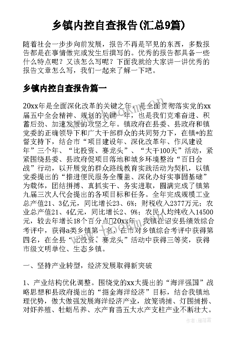 乡镇内控自查报告(汇总9篇)