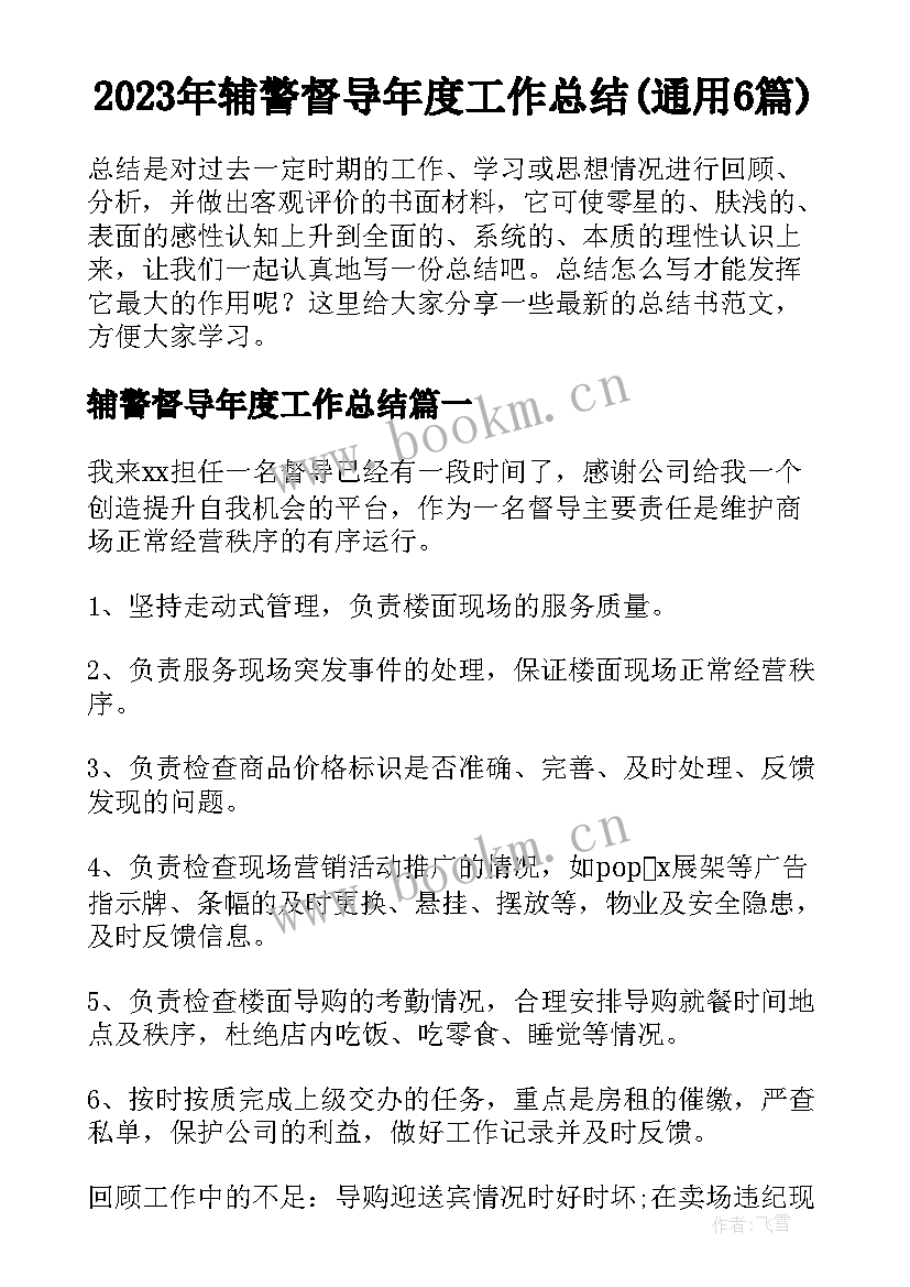 2023年辅警督导年度工作总结(通用6篇)