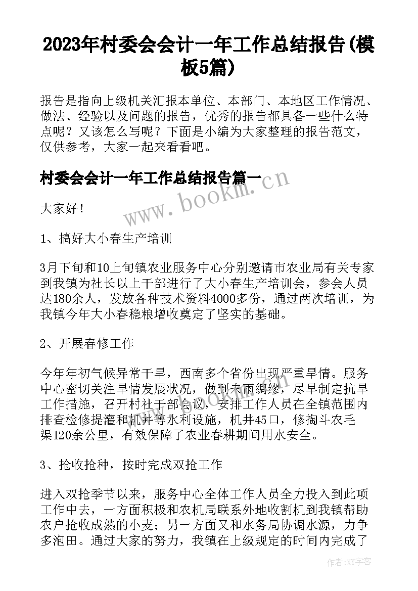 2023年村委会会计一年工作总结报告(模板5篇)