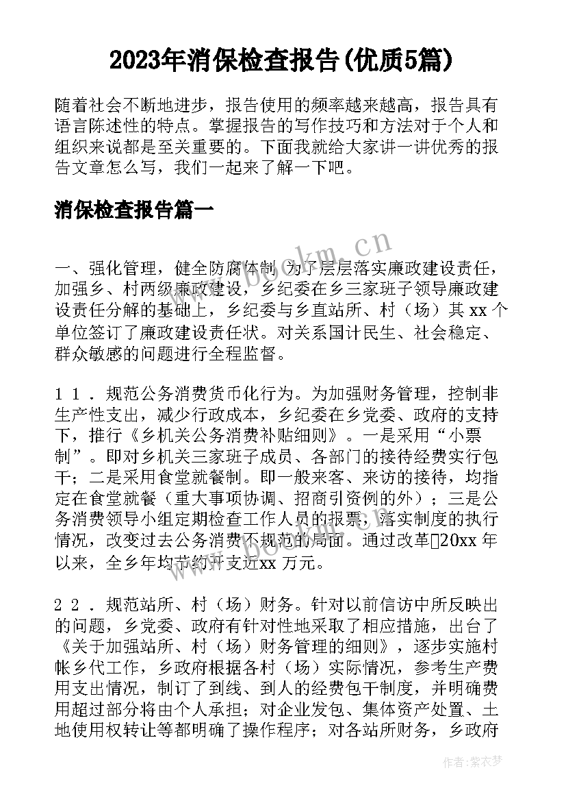 2023年消保检查报告(优质5篇)