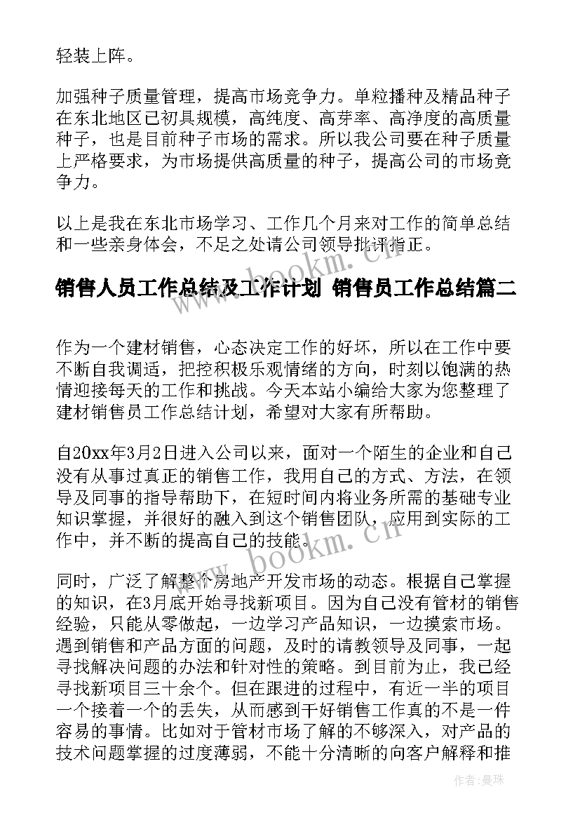 2023年销售人员工作总结及工作计划 销售员工作总结(实用10篇)