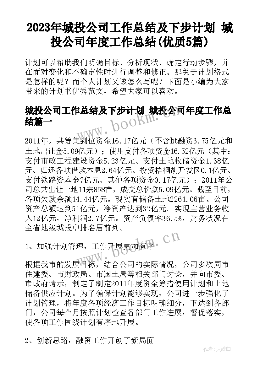 2023年城投公司工作总结及下步计划 城投公司年度工作总结(优质5篇)