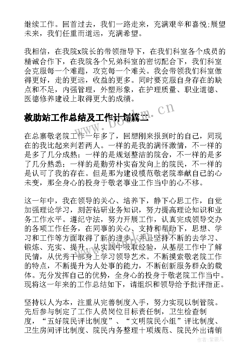 2023年救助站工作总结及工作计划(优质7篇)