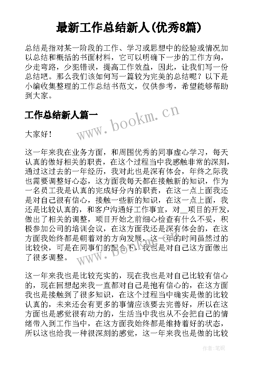 最新工作总结新人(优秀8篇)