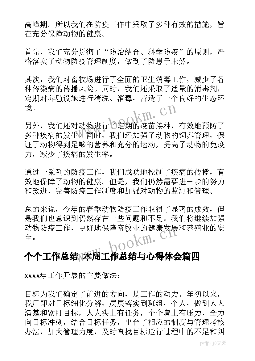 个个工作总结 本周工作总结与心得体会(大全10篇)