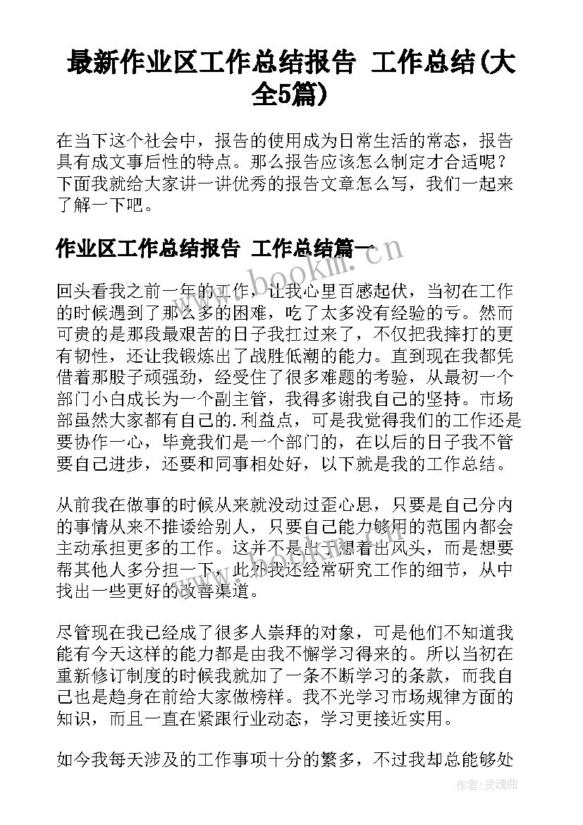 最新作业区工作总结报告 工作总结(大全5篇)