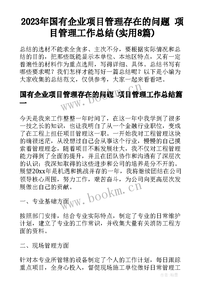 2023年国有企业项目管理存在的问题 项目管理工作总结(实用8篇)