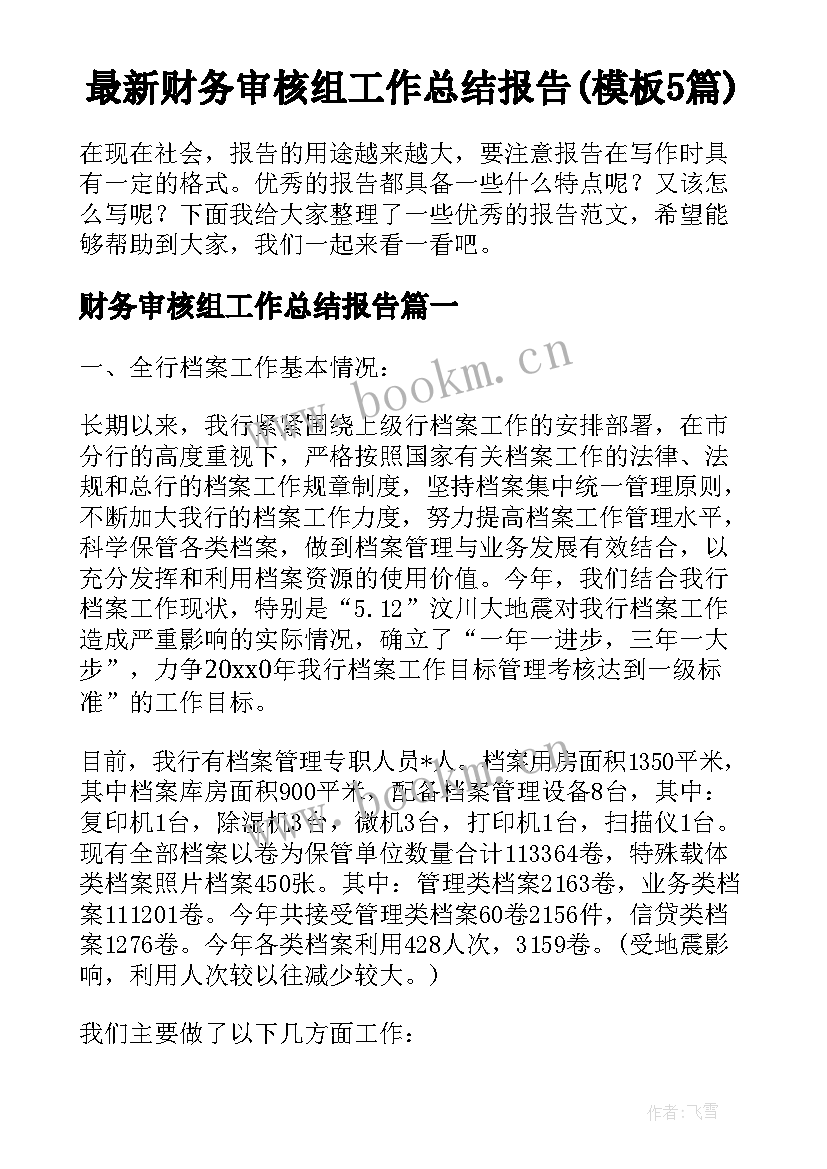 最新财务审核组工作总结报告(模板5篇)