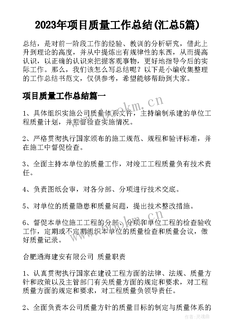 2023年项目质量工作总结(汇总5篇)