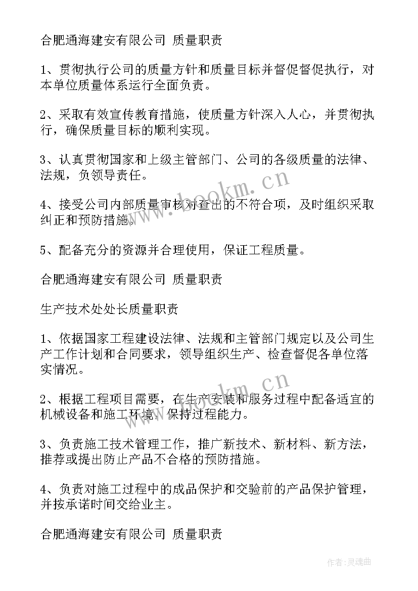 2023年项目质量工作总结(汇总5篇)