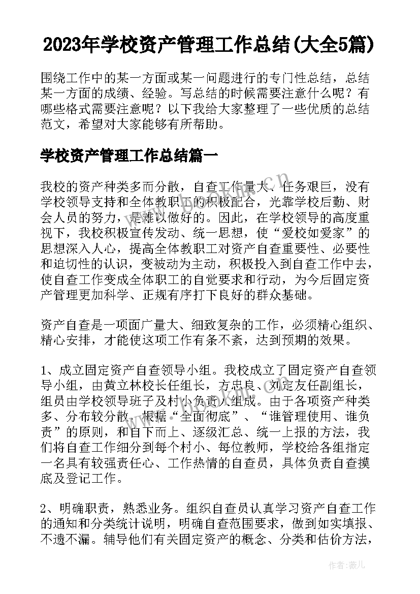 2023年学校资产管理工作总结(大全5篇)