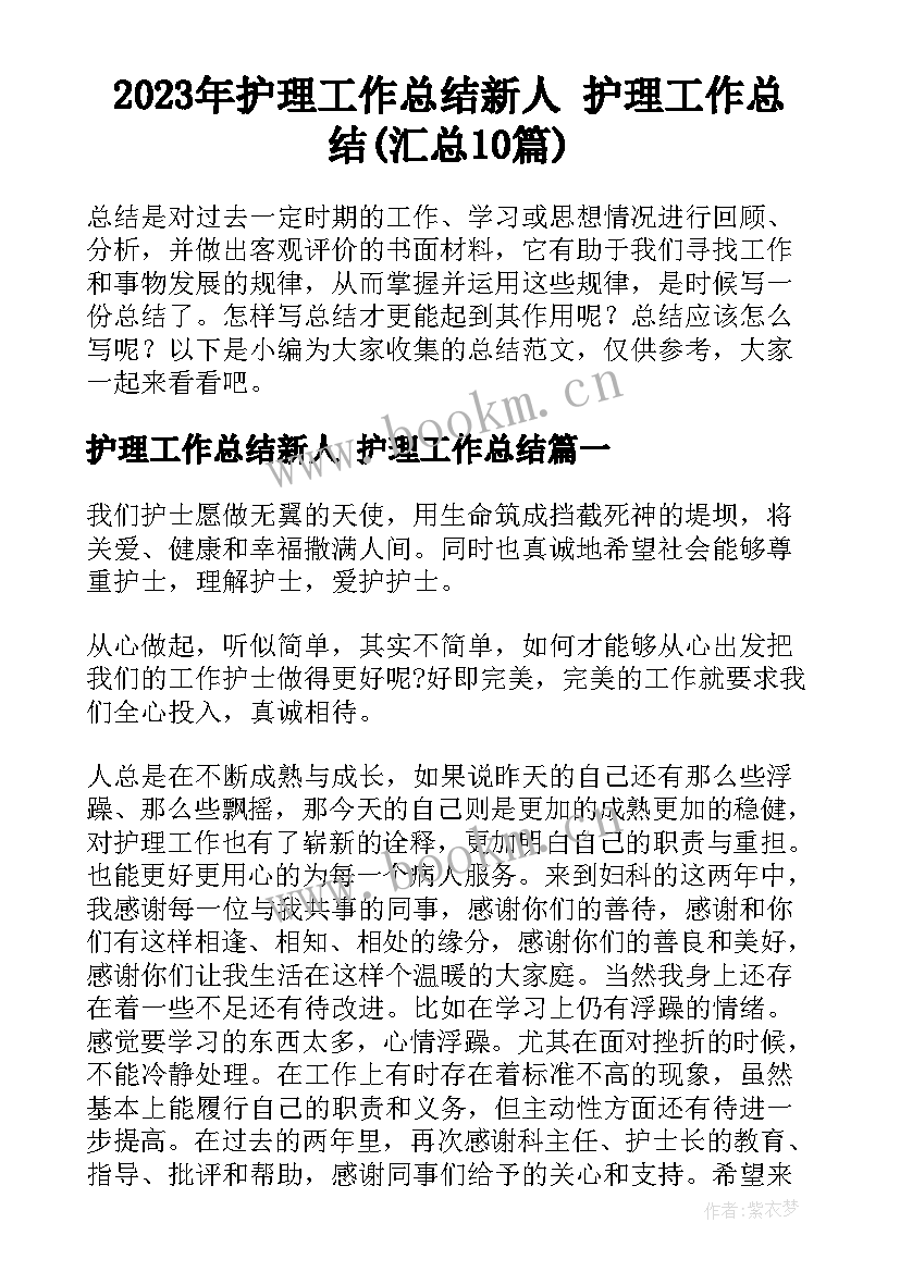 2023年护理工作总结新人 护理工作总结(汇总10篇)