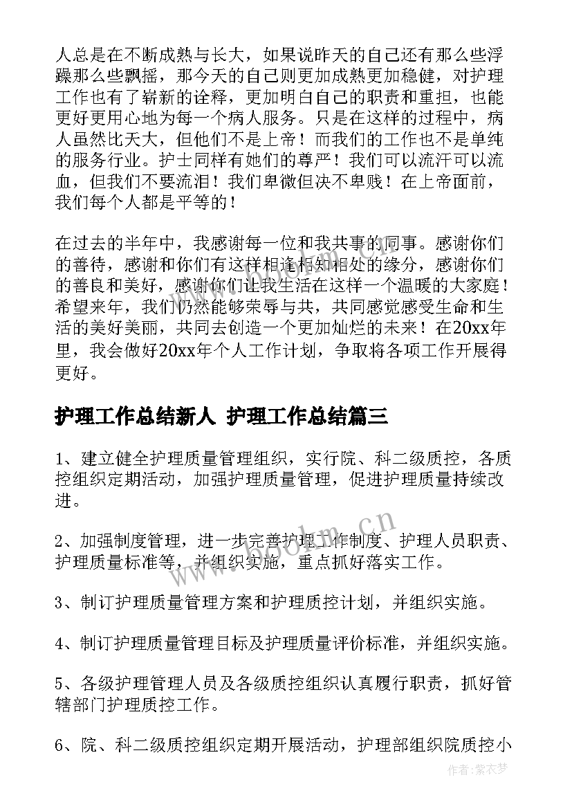 2023年护理工作总结新人 护理工作总结(汇总10篇)