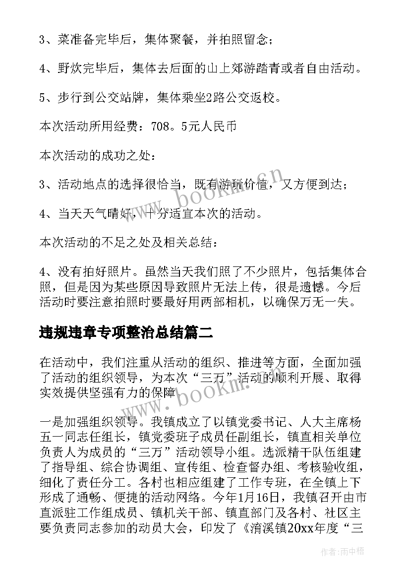 2023年违规违章专项整治总结(大全6篇)