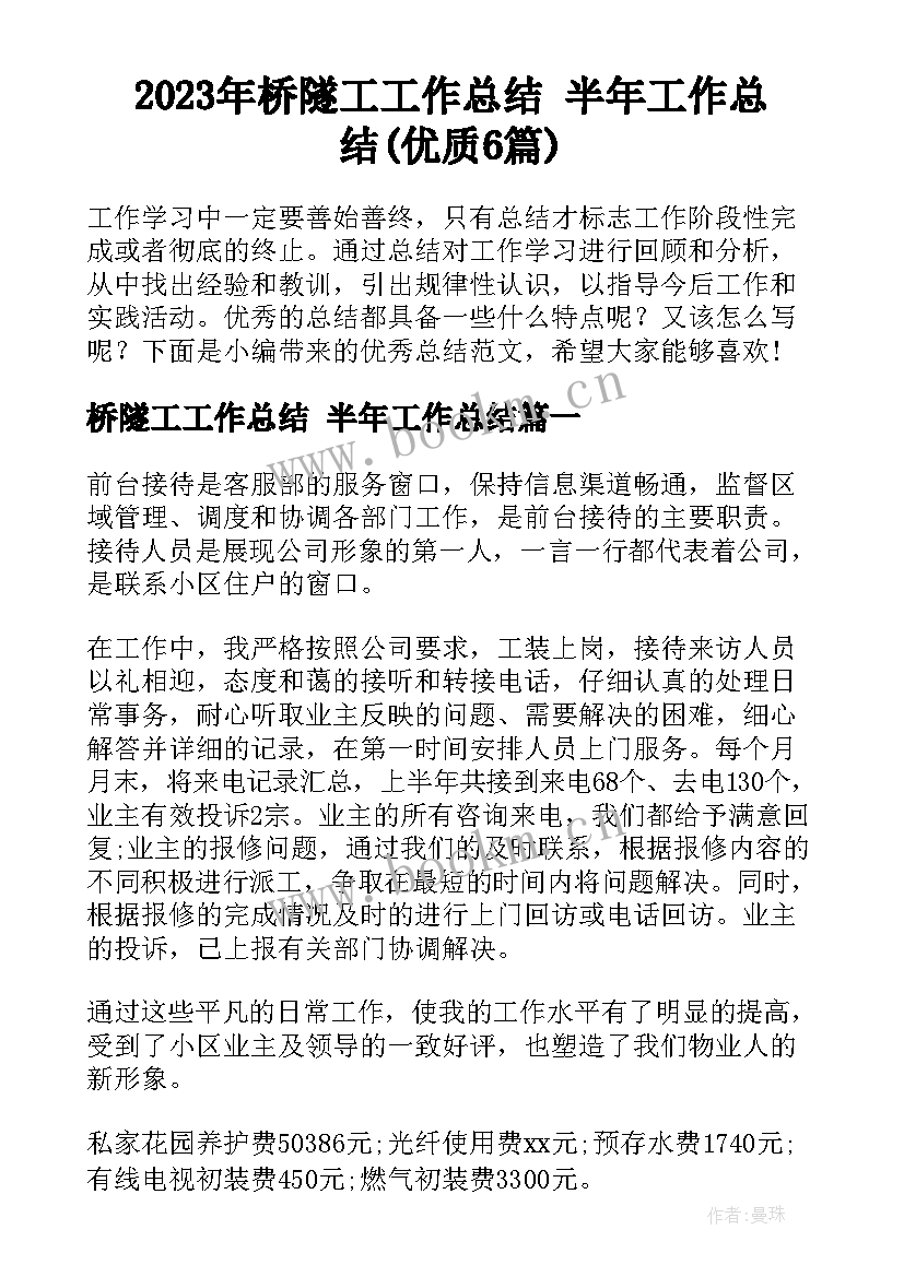 2023年桥隧工工作总结 半年工作总结(优质6篇)