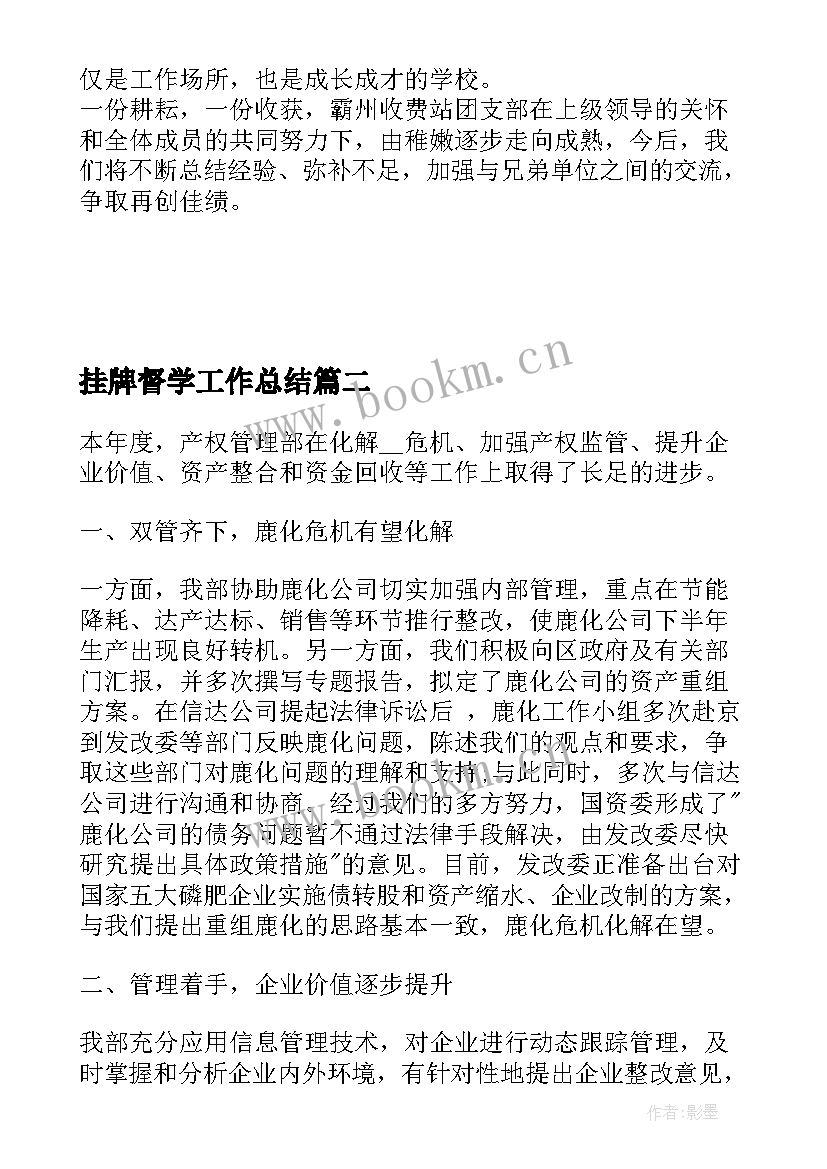 2023年挂牌督学工作总结(实用5篇)