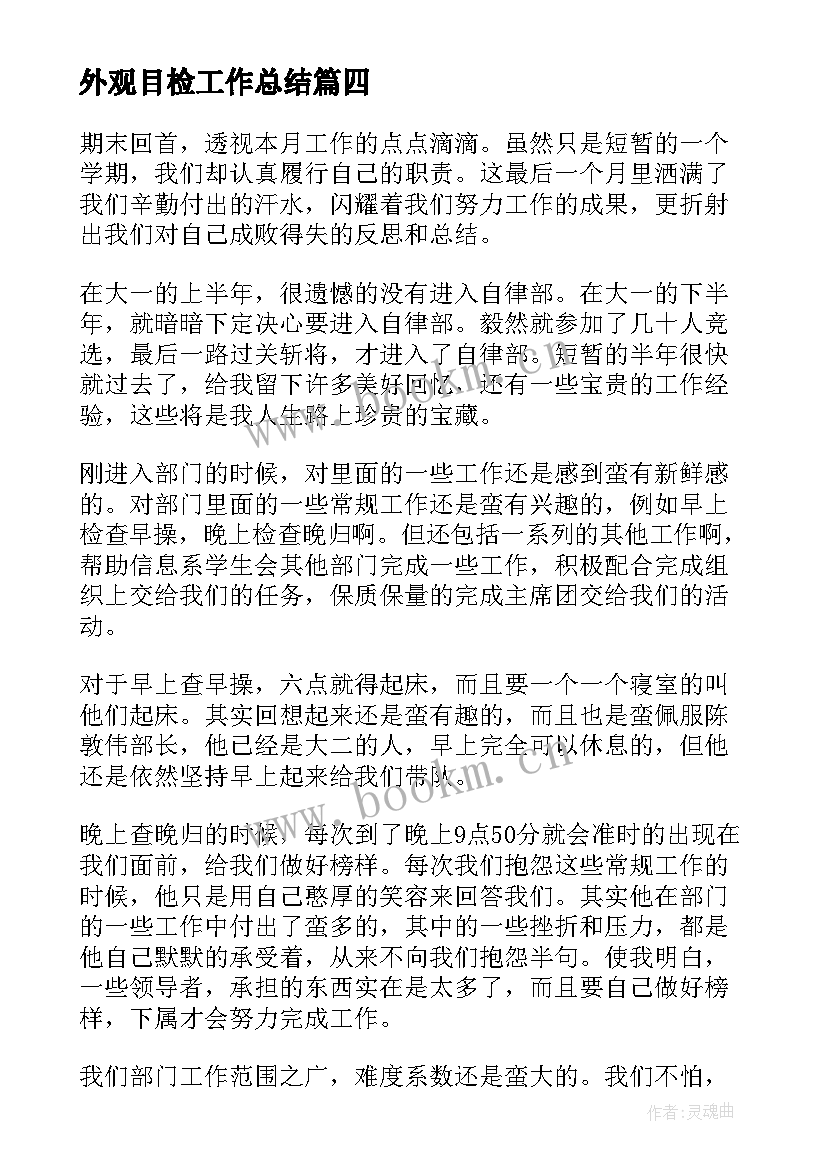 2023年外观目检工作总结(汇总7篇)