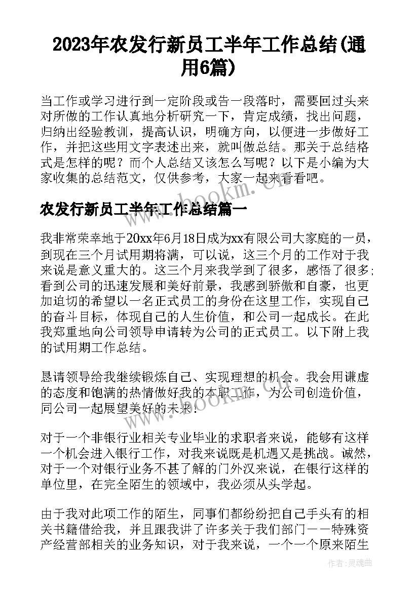 2023年农发行新员工半年工作总结(通用6篇)