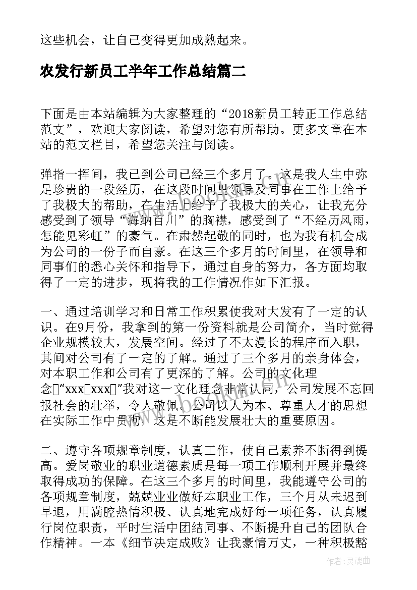 2023年农发行新员工半年工作总结(通用6篇)