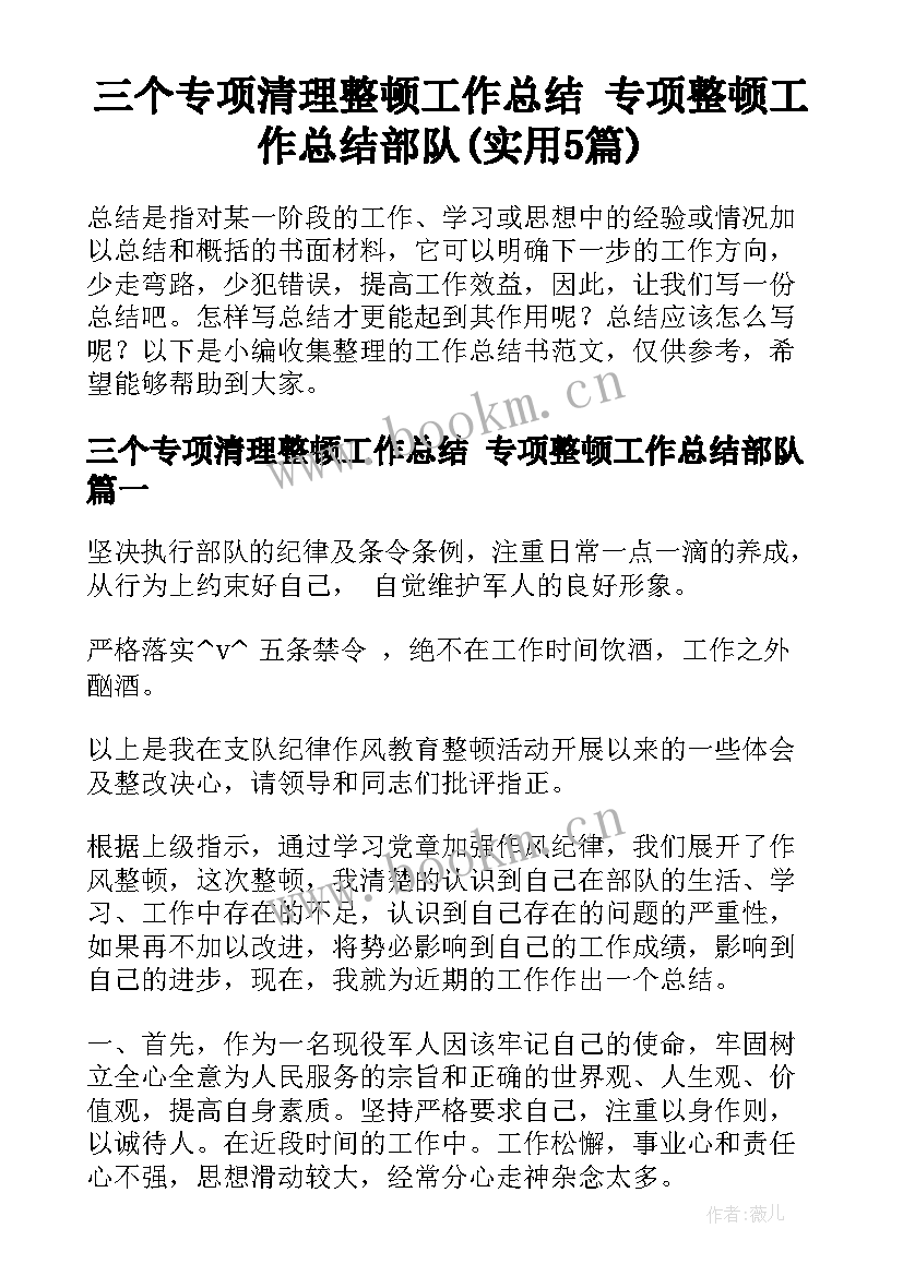 三个专项清理整顿工作总结 专项整顿工作总结部队(实用5篇)