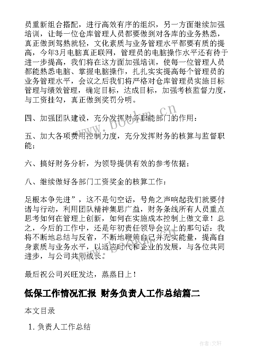 2023年低保工作情况汇报 财务负责人工作总结(汇总10篇)