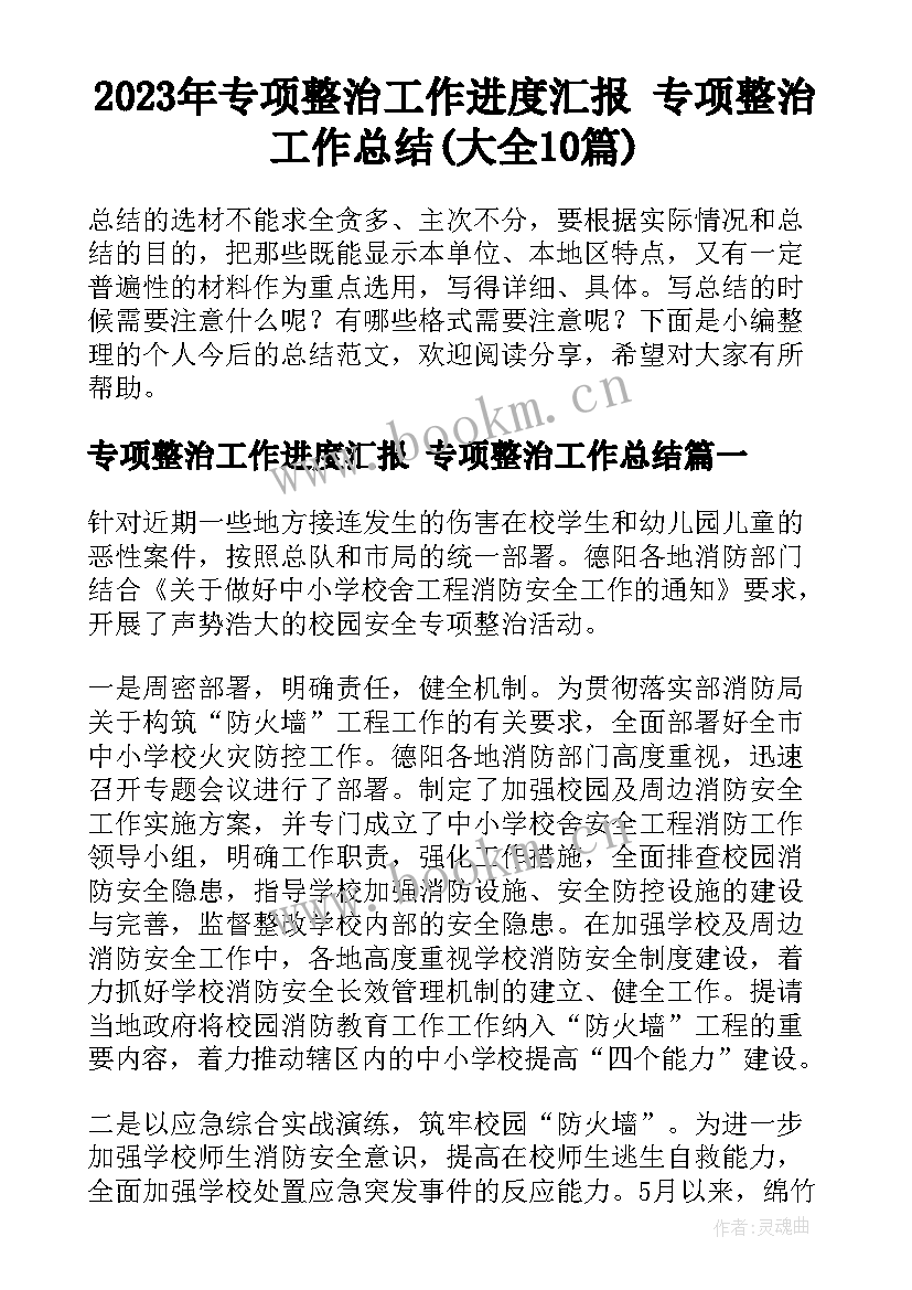 2023年专项整治工作进度汇报 专项整治工作总结(大全10篇)