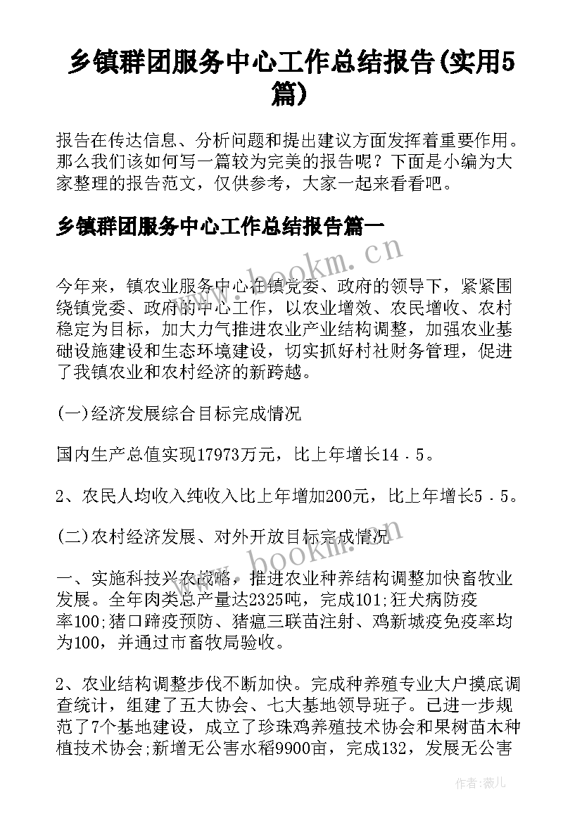 乡镇群团服务中心工作总结报告(实用5篇)