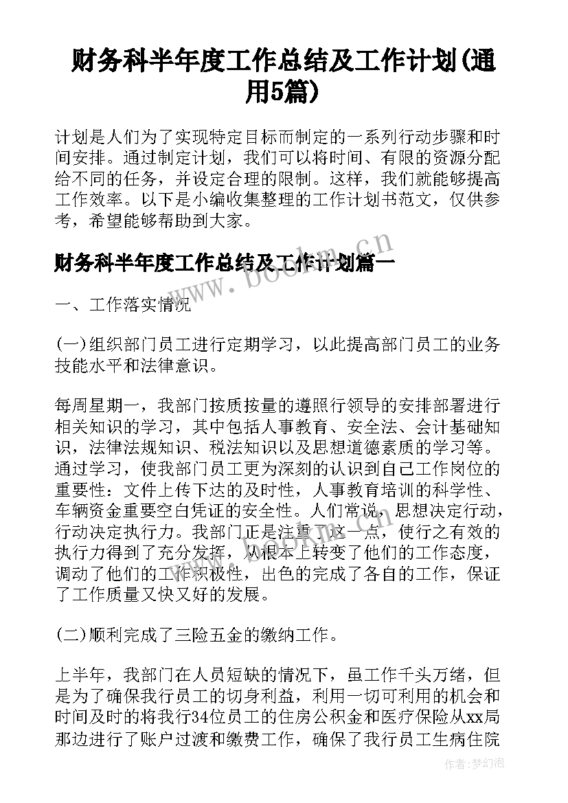 财务科半年度工作总结及工作计划(通用5篇)