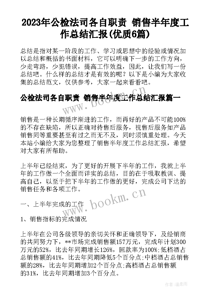 2023年公检法司各自职责 销售半年度工作总结汇报(优质6篇)