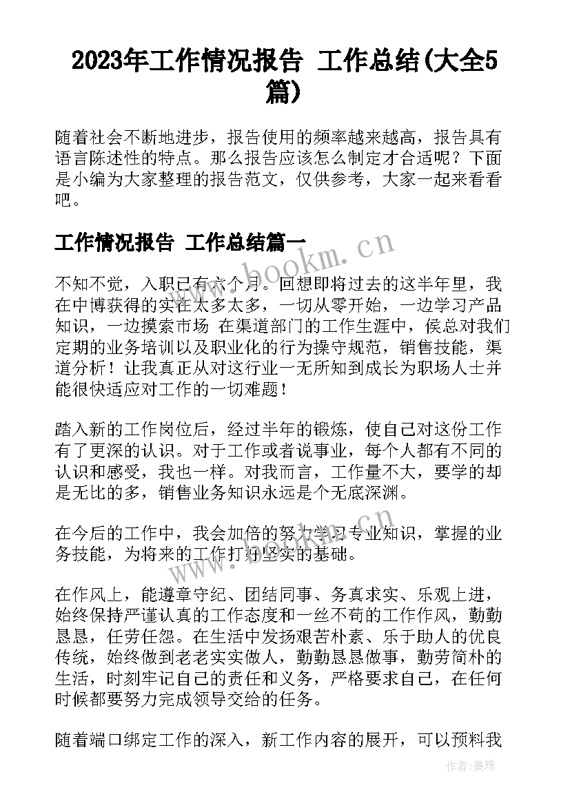 2023年工作情况报告 工作总结(大全5篇)