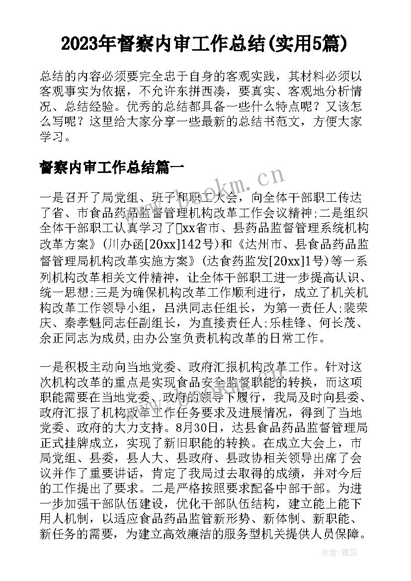 2023年督察内审工作总结(实用5篇)