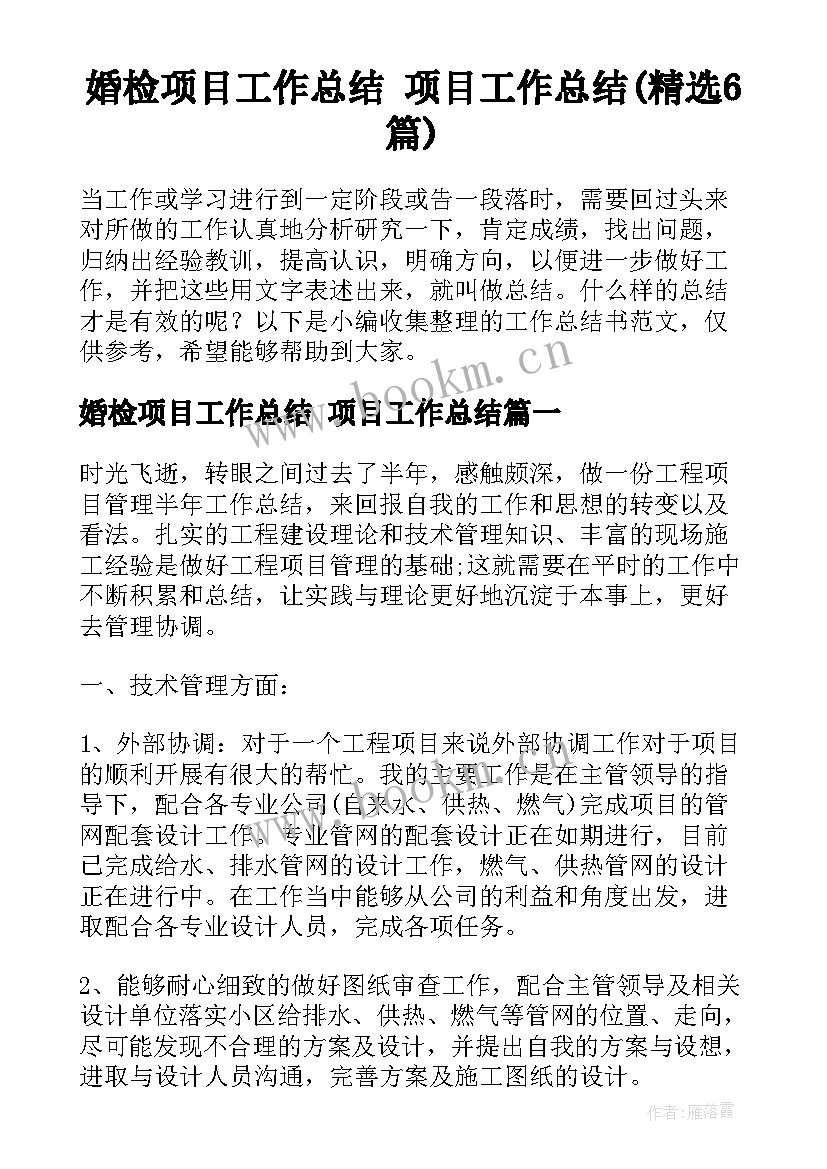 婚检项目工作总结 项目工作总结(精选6篇)