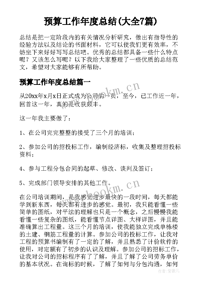 预算工作年度总结(大全7篇)