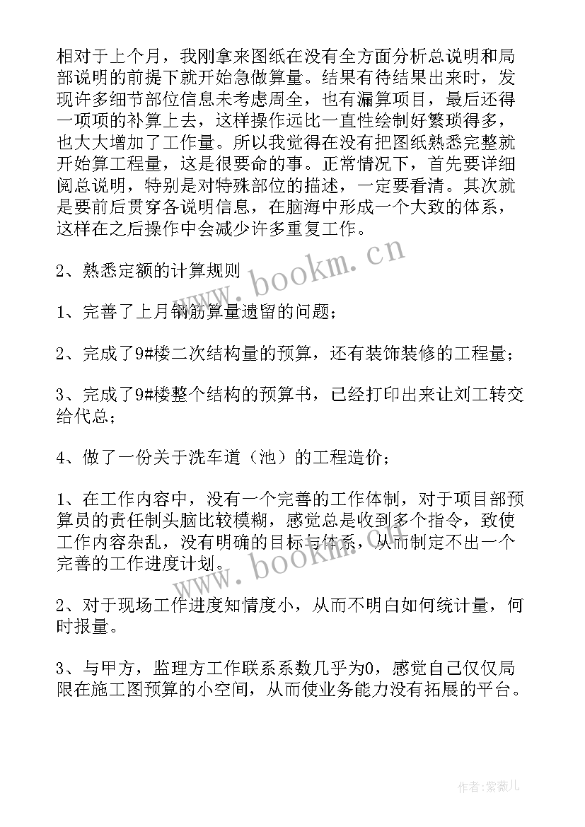 预算工作年度总结(大全7篇)