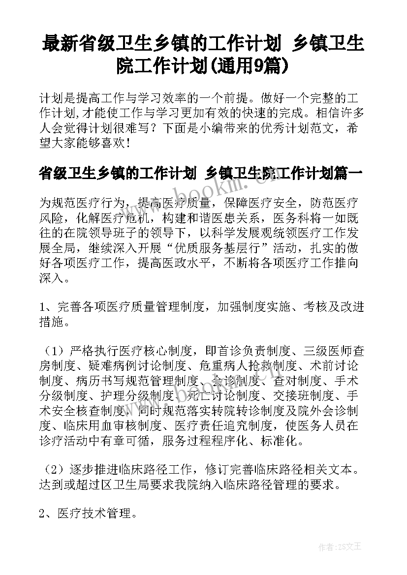 最新省级卫生乡镇的工作计划 乡镇卫生院工作计划(通用9篇)