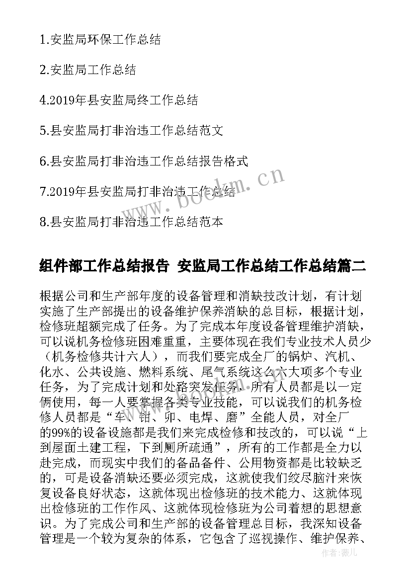 2023年组件部工作总结报告 安监局工作总结工作总结(精选6篇)