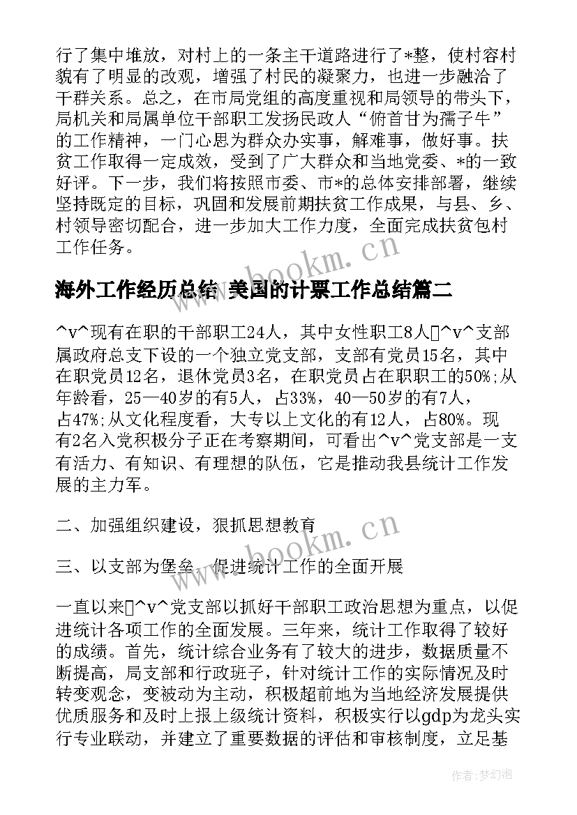 海外工作经历总结 美国的计票工作总结(大全5篇)