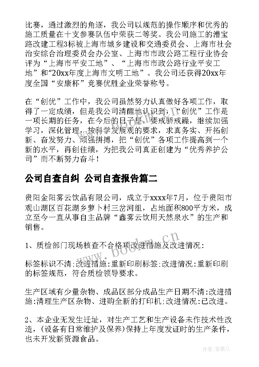 最新公司自查自纠 公司自查报告(大全9篇)