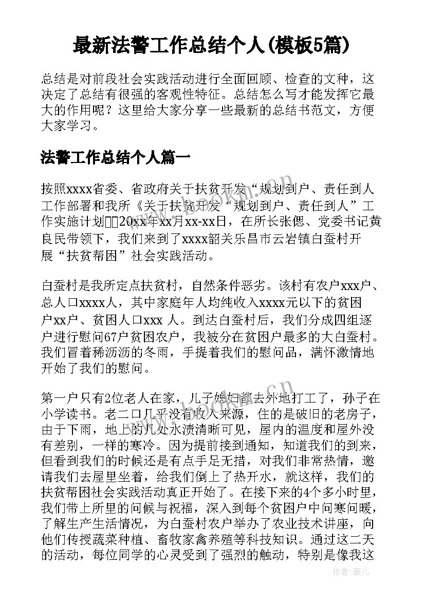 最新法警工作总结个人(模板5篇)