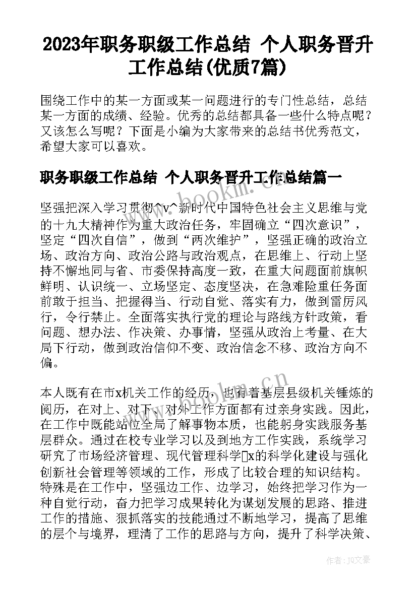 2023年职务职级工作总结 个人职务晋升工作总结(优质7篇)