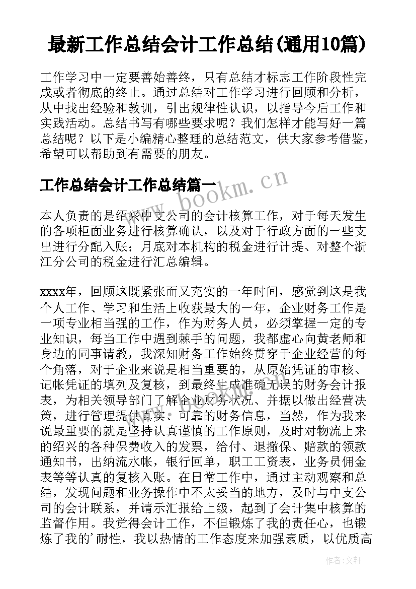 最新工作总结会计工作总结(通用10篇)